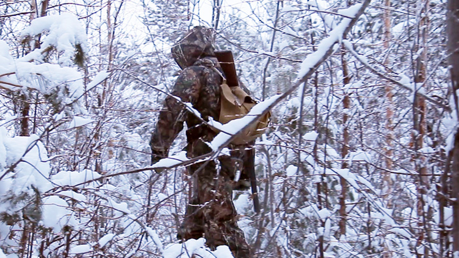 Впр в лесу охотник был как дома. Охота в лесу. Охотник зимой. Охотник в лесу. Охотник зимой в лесу.
