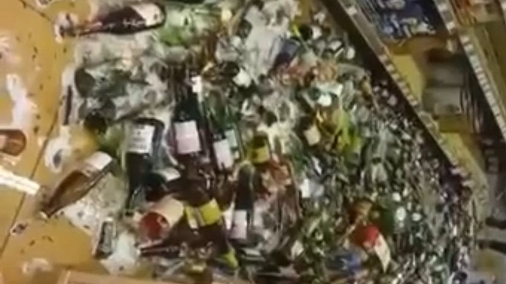 Попугай снят на видео и стал популярным в социальных сетях