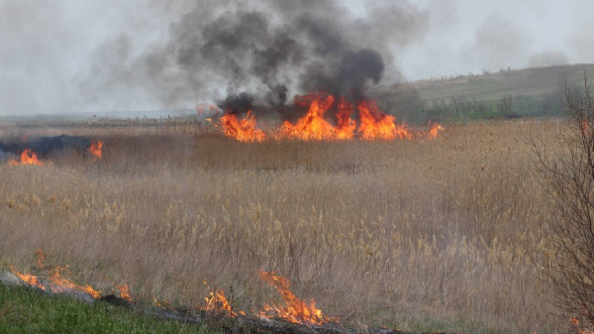 Фото горящего поля