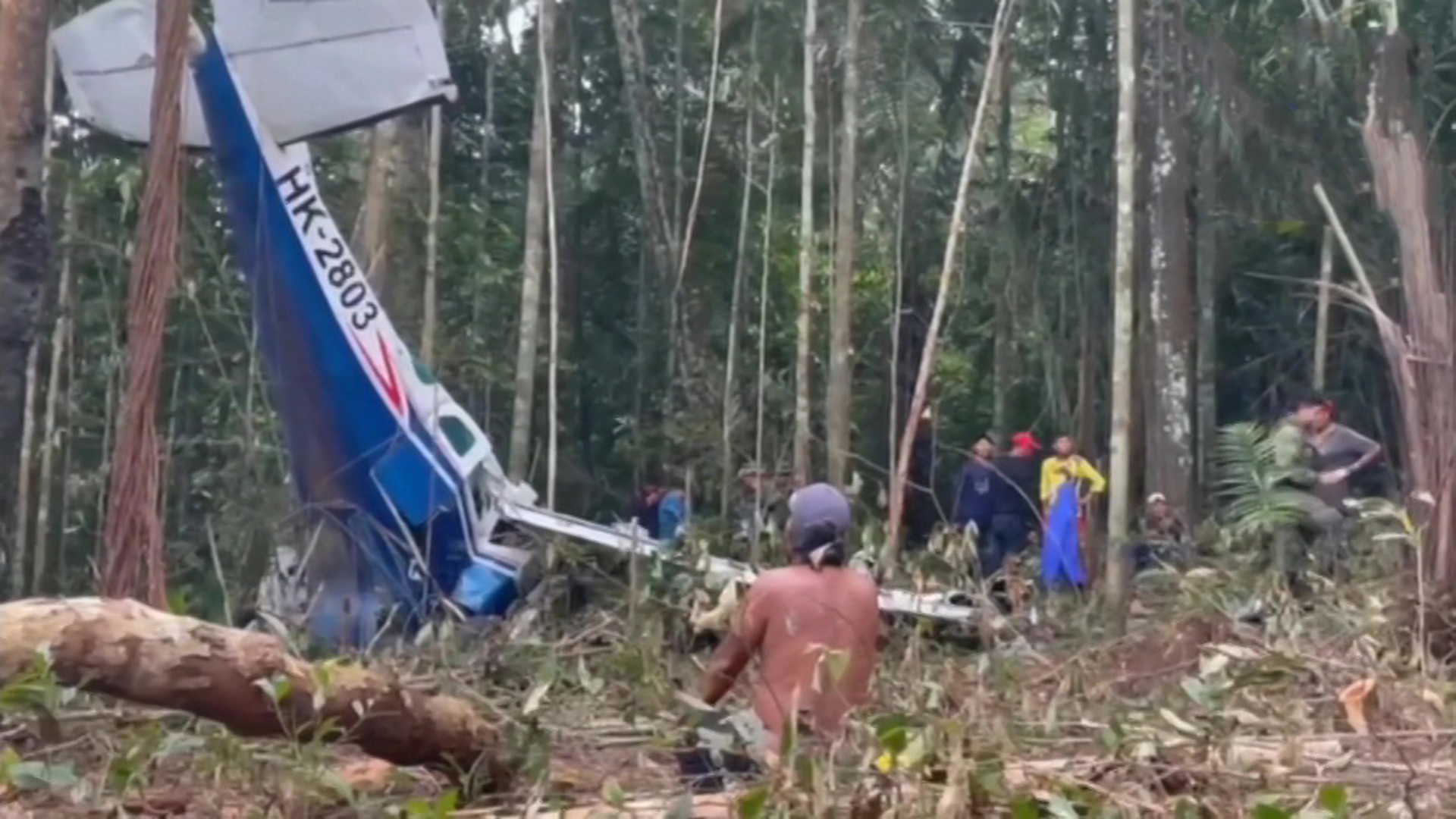 Авиакатастрофа с детьми. Дети в джунглях Колумбия авиакатастрофа. В джунглях Колумбии упал самолет. Упавшие самолеты в джунглях. Авиакатастрофа в джунглях.