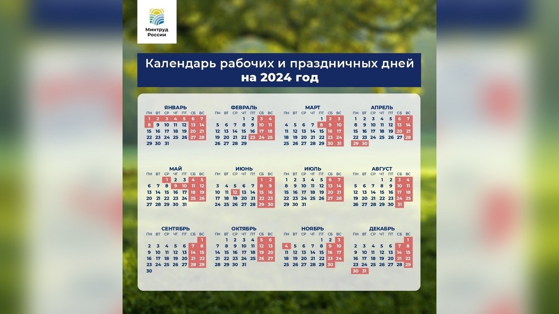 Социальная карта ярославца
