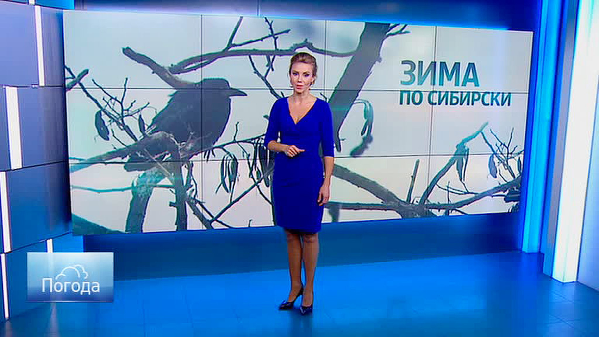 Екатерина Григорова телеведущая