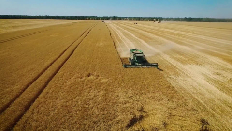 Кадр из программы "Действующие лица"