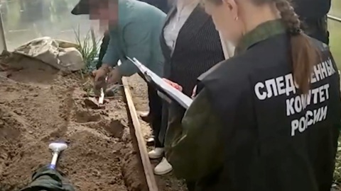 Вести. Показала, как закапывала зятя. Подробности семейного преступления в Вязьме