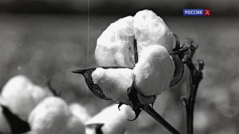 Запечатленное время. Белое золото нашей страны