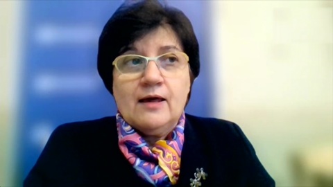 Мнение. Плато, вакцины и маски: Мелита Вуйнович о ситуации с ковидом