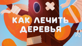 Как лечить деревья Серия 8