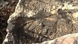 На территории Дивногорского монастыря обрушилась арка скального комплекса