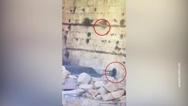 Иерусалимская Стена Плача закрыта из-за камнепада