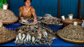 Рыбный рынок в Индонезии. Эта рыба может содержать внутри себя пластик, созданный человеком