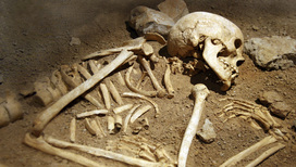 Голова дырявая: в древнем Китае все-таки умели делать трепанацию черепа
