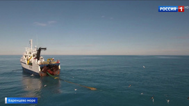 Запасов креветки, выловленной в Баренцевом море, хватит минимум на 2 года