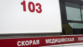 В Челябинске мать и сын погибли от отравления алкоголем