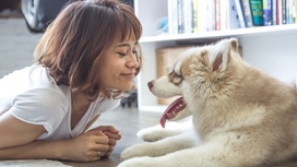 Гормон радости и улыбка помогут завоевать расположение собаки