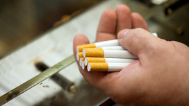 Объем табачного контрафакта на российском рынке достиг 15 процентов
