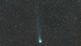Сладости и выпивка обнаружены на комете Лавджоя