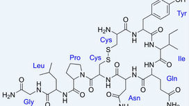 Химическая формула окситоцина