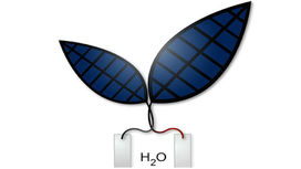 В 10 раз эффективнее: бионический лист превращает свет в жидкое топливо