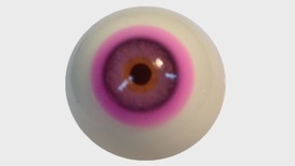 Созданы контактные линзы, которые помогут дальтоникам различать цвета