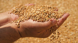 МИД России заявил о необходимости скорректировать зерновую сделку