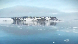 Арктика. Жизнь на краю земли