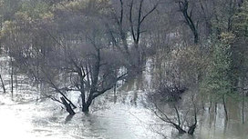 Вышедшие из берегов реки подтопили дома в Краснодарском крае