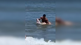 Борьба купальщика с попавшей на крючок акулой попала на видео