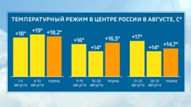 В России ожидаются аномалии и арктические вторжения