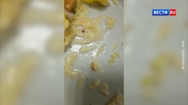Чистый белок: в челябинском кафе подали салат с живыми червями