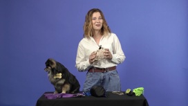 Ценные советы от участницы шоу "Удивительные люди" для владельцев собак