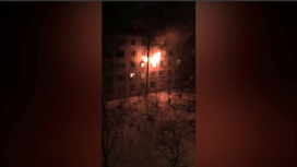 В Москве на пожаре в расселенном доме пострадали четверо детей