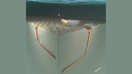 3D-модель, демонстрирующая способ охоты пурпурного австралийского червя (слева) и, предположительно, доисторического хищника (справа).