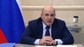 Путин: штраф "Норникеля" необходимо направить на восстановление экологии в Норильске