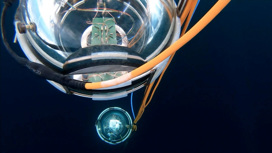 В России будут следить за "космическим планктоном"