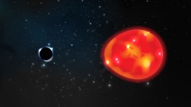 Гравитация чёрной дыры растягивает звезду, меняя её форму.