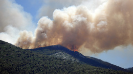 Дым от лесных пожаров распространяется на многие километры и содержит высокие концентрации ядовитых веществ.