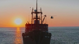 Морские единороги: находка экспедиции "Газпром нефти"