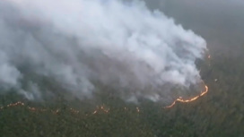 Пожары в Якутии: Авиалесоохрана начинает взрывать лес, чтобы остановить огонь