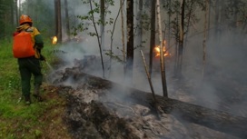 95 гектаров в огне: в Краснокамске введен режим ЧС