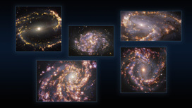 Это фото объединяет наблюдения близлежащих галактик NGC 1300, NGC 1087, NGC 3627 (сверху,  слева направо), NGC 4254 и NGC 4303 (внизу, слева направо), полученные с приёмником MUSE на VLT. Каждое индив