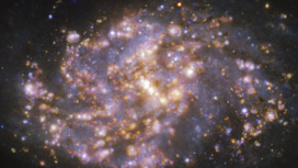 Галактика NGC 1087.