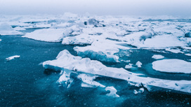 Тающие арктические льды отравляют океан
