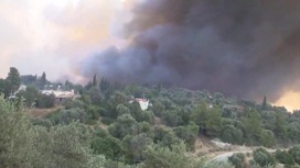Задержан возможный поджигатель леса в Турции