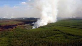 Хабаровскому краю дополнительно выделили 160 миллионов на тушение природных пожаров