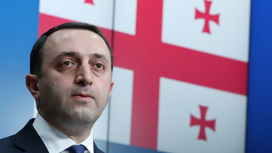 Премьер Грузии пообещал Саакашвили комфортную тюрьму и набор галстуков