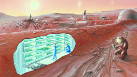 Вид на марсианскую колонию в представлении художника.