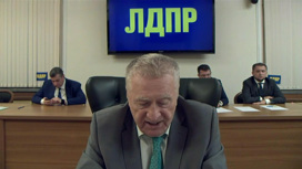 Жириновский: Кокорина и Мамаева надо было сослать в Сибирь