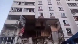 Спасение кота из разрушенного дома в Ногинске сняли на видео