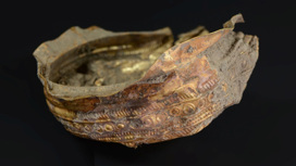 Древняя золотая чаша из Австрии использовалась в магических обрядах
