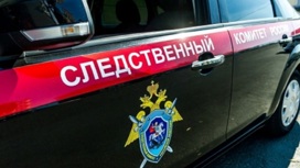 В Саратовской области мужчина напал на 14-летнюю девочку и попытался ее изнасиловать